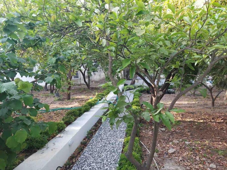 Mel'S Garden House In The Heart Of The City Bodrum Exterior foto
